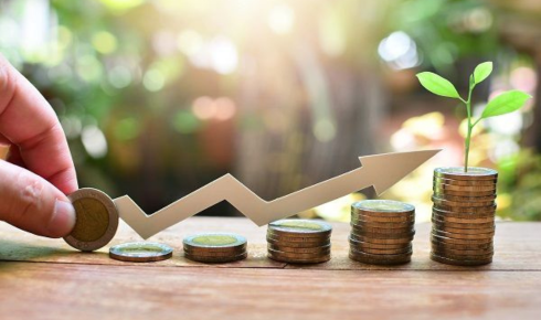 mutual fund returns online